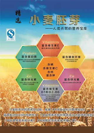 小麦 胚芽 彩页图片