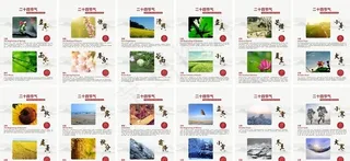 二十四节气图片