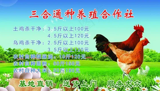 养殖名片图片