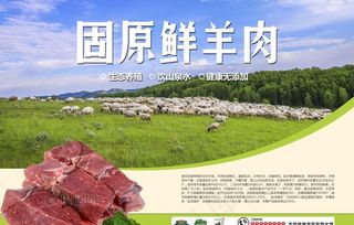 海报设计 牛羊肉宣传 广告宣传图片