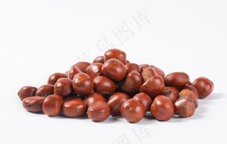 板栗图片
