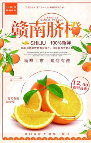赣南脐橙水果图片
