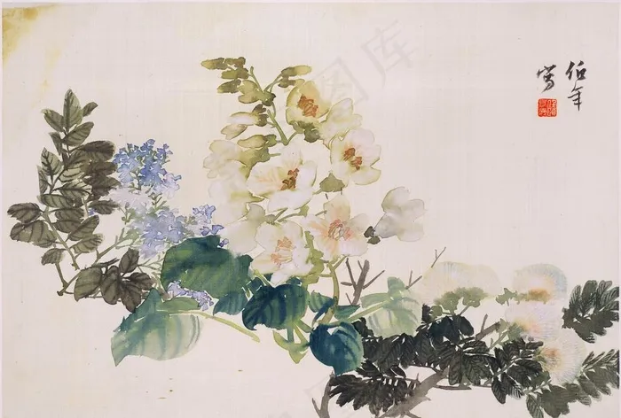 国画花卉植物图片