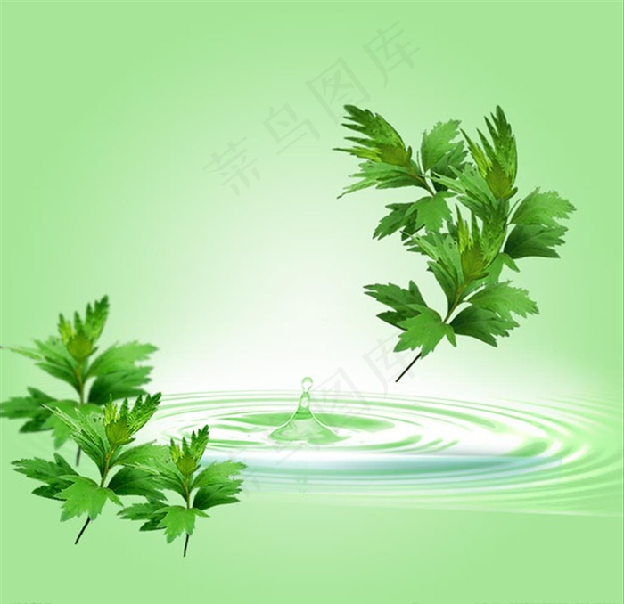 淡绿色水纹艾草图片