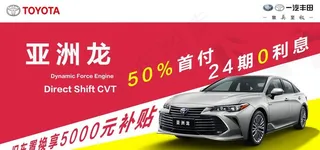 亚洲龙车顶牌图片