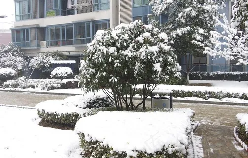 雪景图片
