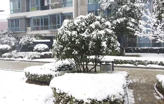 雪景图片