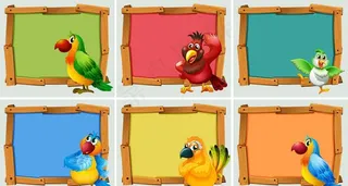 卡通动物边框图片