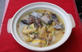 乌龟炖土鸡图片