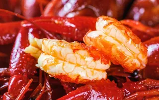 小龙虾 虾肉图片