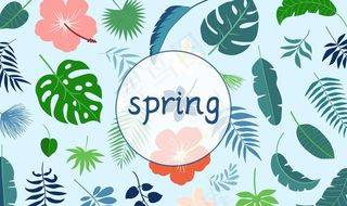 森系植物绿叶背景图片