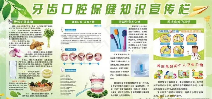 牙齿口腔保健健康知识宣传栏展板图片(7087X3543(DPI:150))psd模版下载