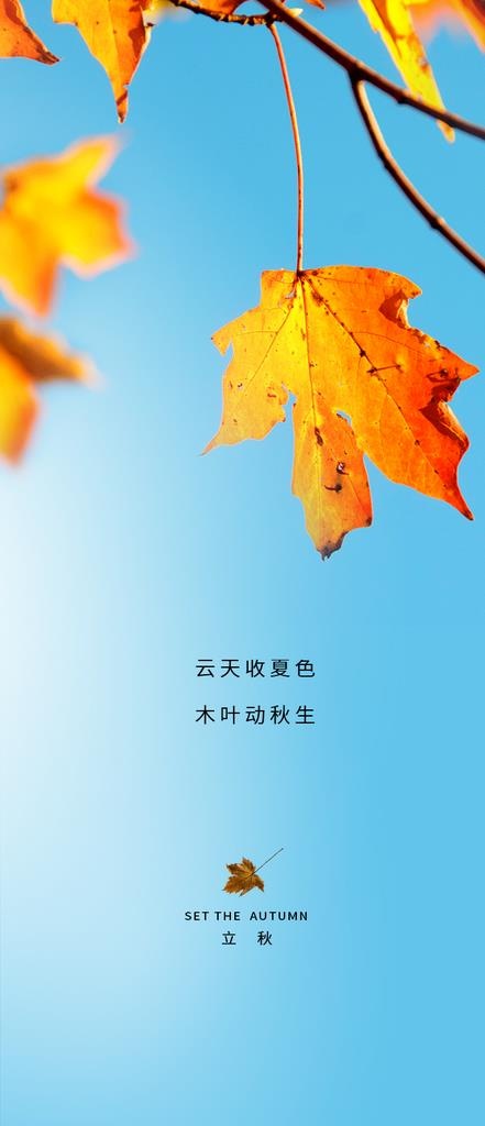 立秋节气海报3图片(750X1625(DPI:72))psd模版下载