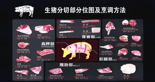 猪肉分割图图片