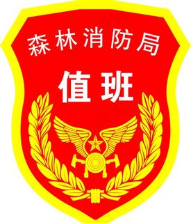 森林消防局 臂章 消防救援图片