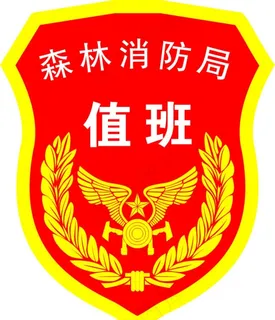 森林消防局 臂章 消防救援图片