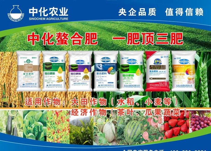 中化化肥图片