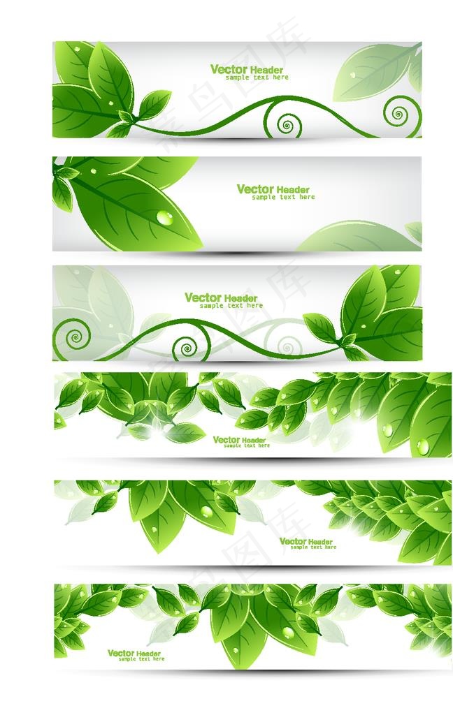 绿叶卡片图片