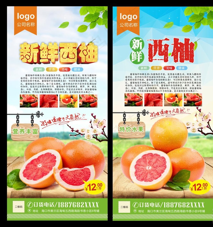 西柚图片(210X297)cdr矢量模版下载