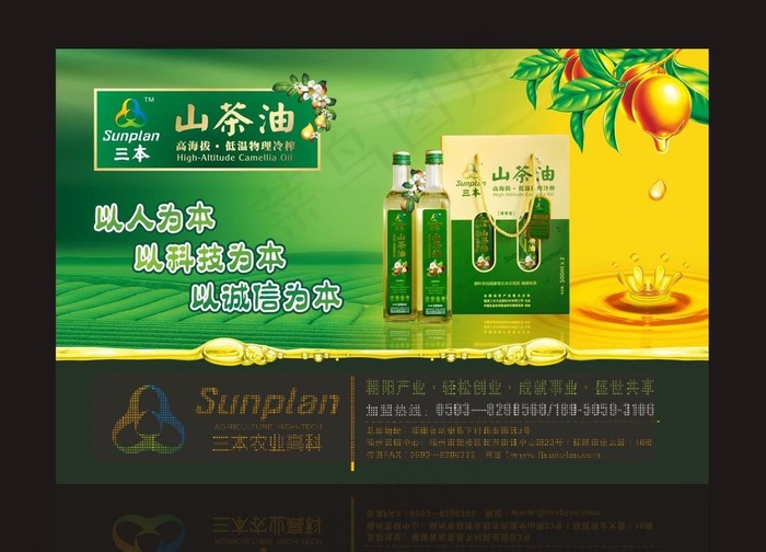 山茶油海报设计图片