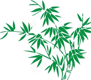 竹叶图片