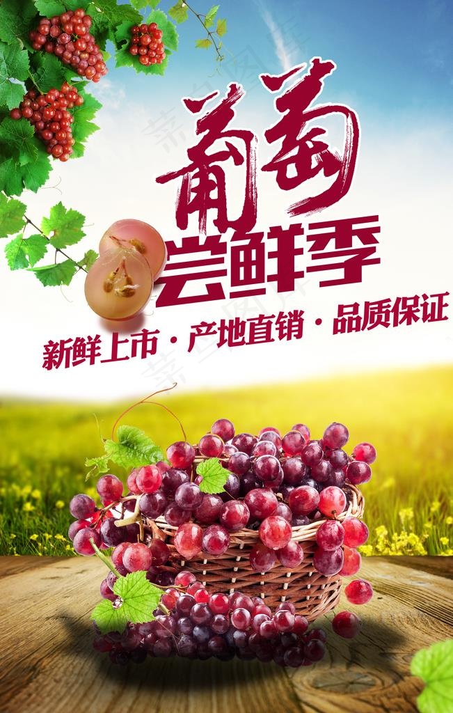葡萄海报图片