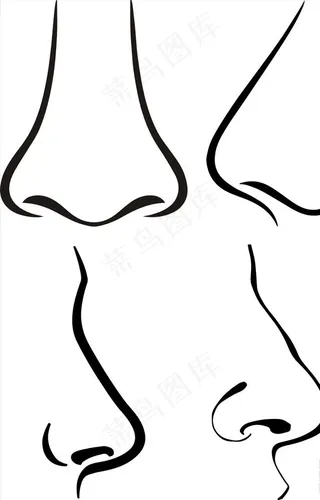 鼻子 五官 鼻子矢量图图片