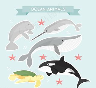 创意海洋动物图片