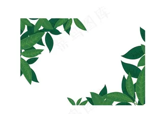 树叶图片