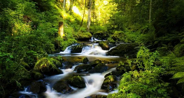 高清壁纸图片 高清壁纸图片