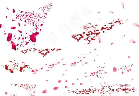 花瓣图片 花瓣图片