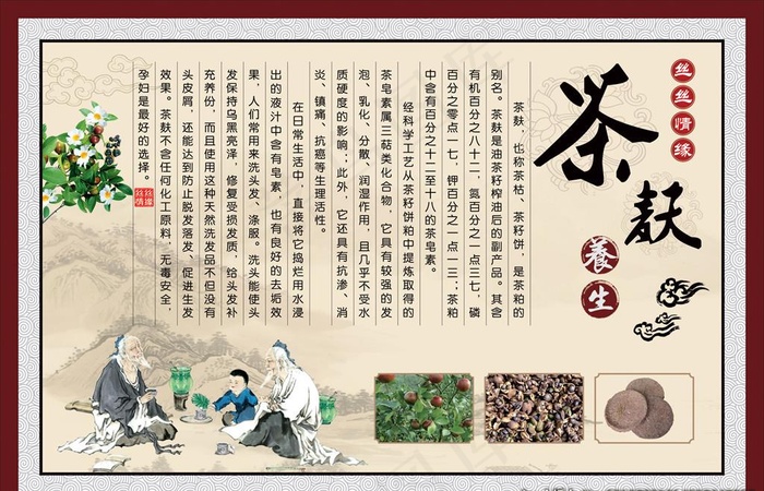 丝丝情缘 茶麸 中草药简介 茶图片