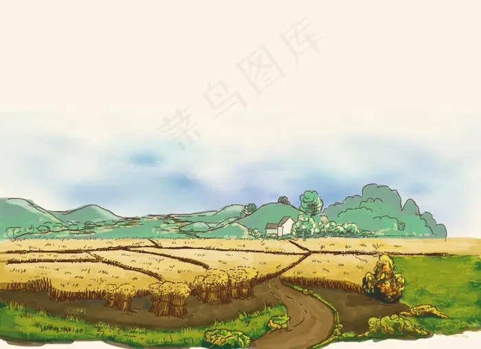 稻田图片