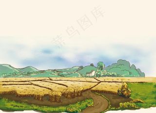 稻田图片