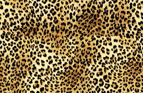 豹纹图片 豹纹图片