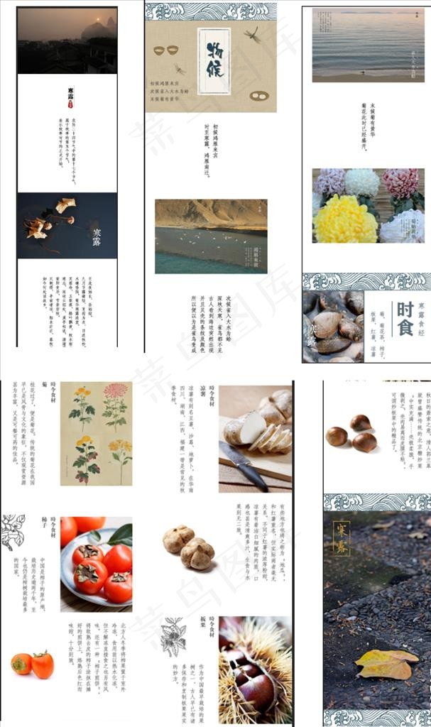 寒露养生图片psd模版下载