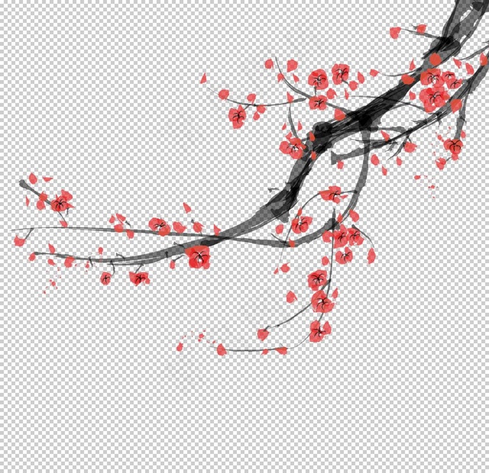 梅花图片