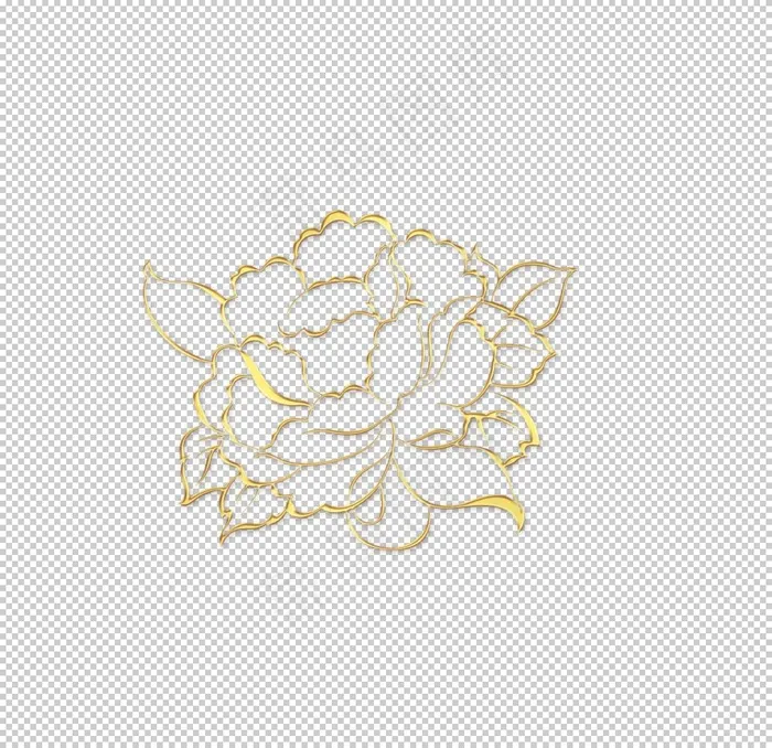 牡丹花图片