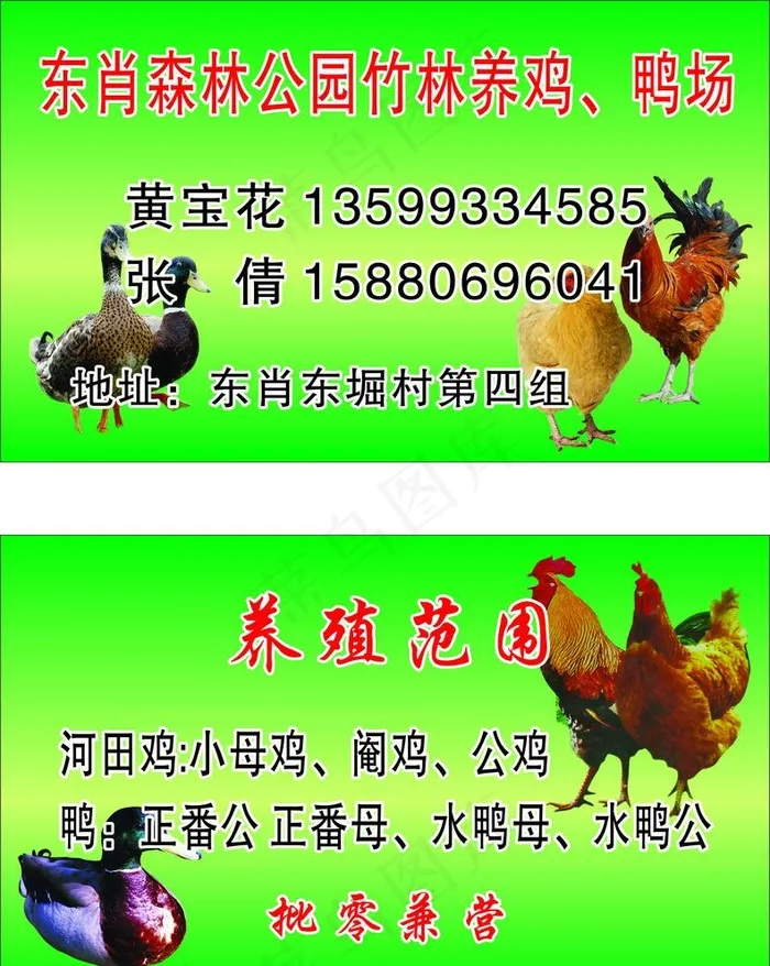 鸡鸭场名片图片cdr矢量模版下载