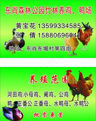 鸡鸭场名片图片