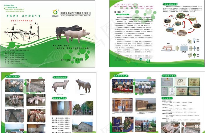 种猪场  宣传册图片