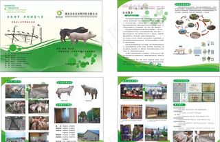 种猪场  宣传册图片