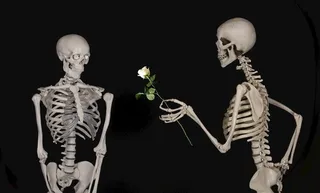 献鲜花的骷髅图片