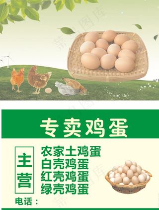 鸡蛋名片图片