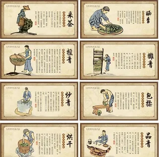 茶叶制作过程图片