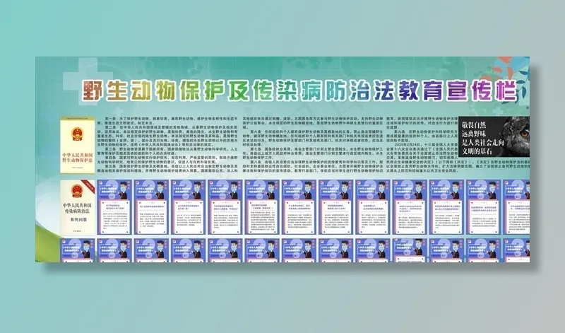 野生动物保护法传染病防治法展板图片(7087X3543(DPI:300))psd模版下载