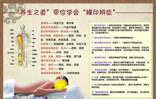 罐印针灸养生图片