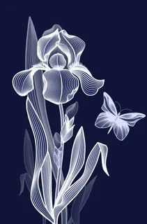 花 蝴蝶花图片 花 蝴蝶花图片