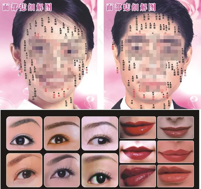 美容图片(700X300)cdr矢量模版下载
