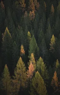 自然风景图片 自然风景图片